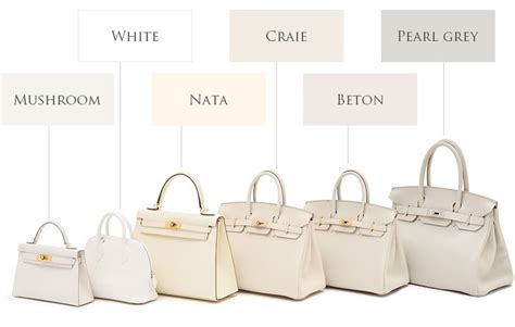 hermes birkin new colors 2018|what color is Hermes beton.